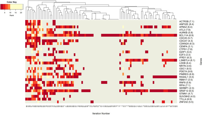 FIGURE 6