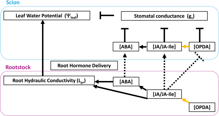 Fig. 10.