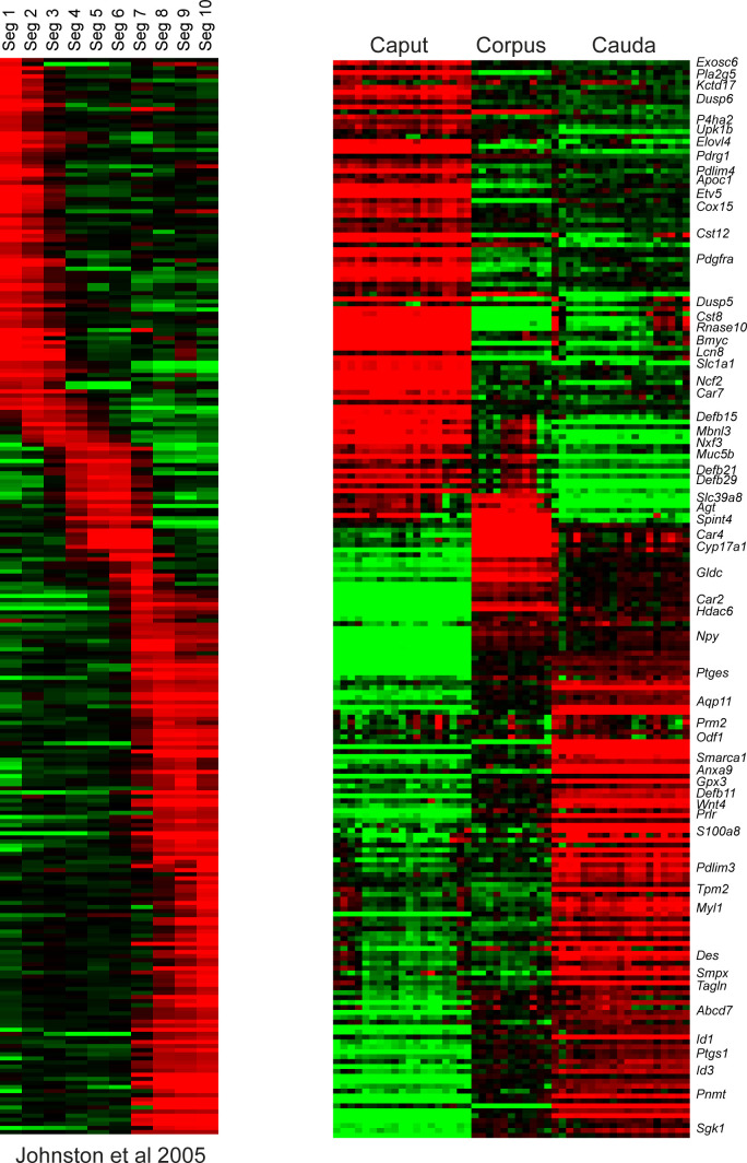 Figure 1—figure supplement 2.