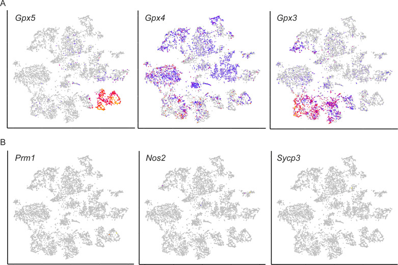 Figure 2—figure supplement 1.