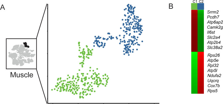 Figure 6—figure supplement 1.