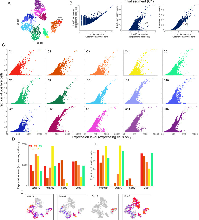 Figure 3—figure supplement 1.