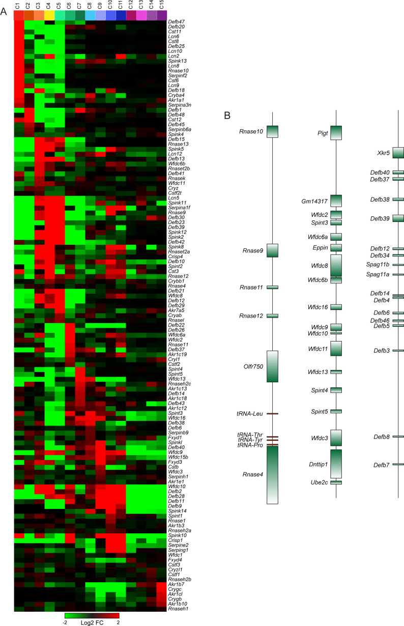 Figure 3—figure supplement 2.