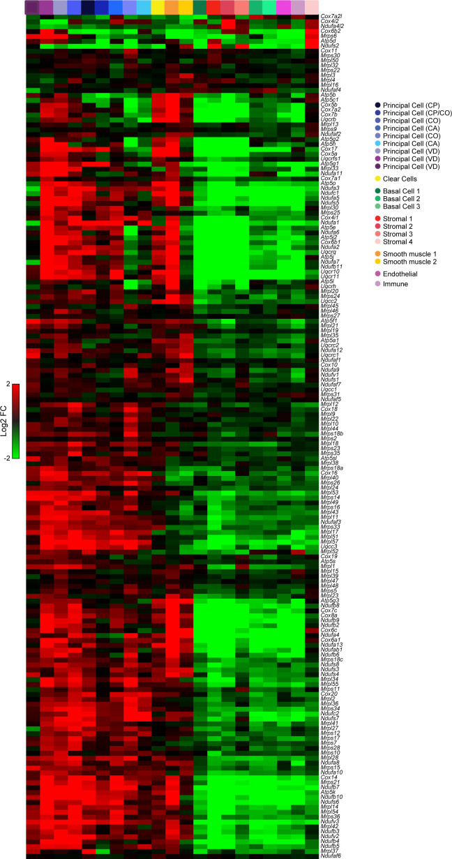 Figure 3—figure supplement 3.