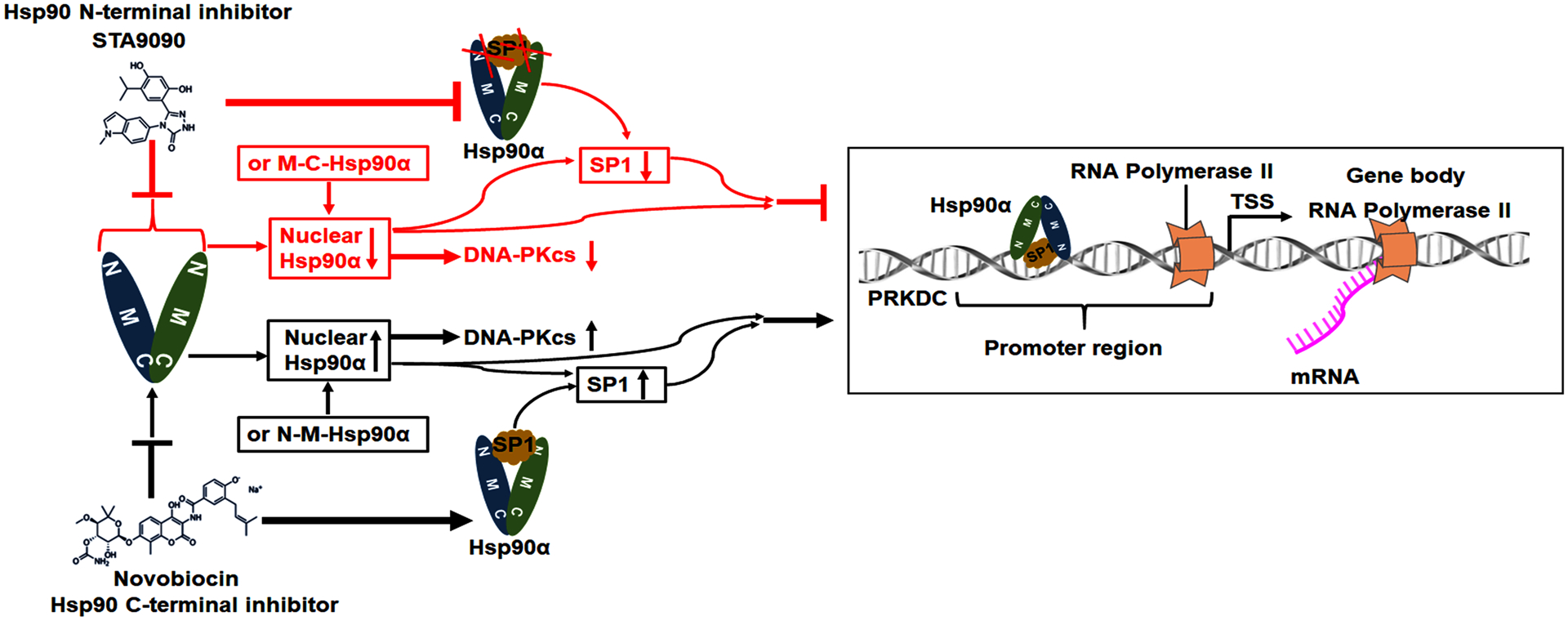 Figure 7.