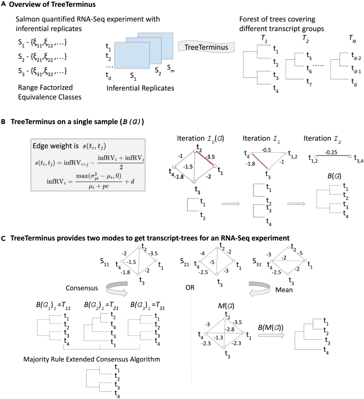 Figure 1