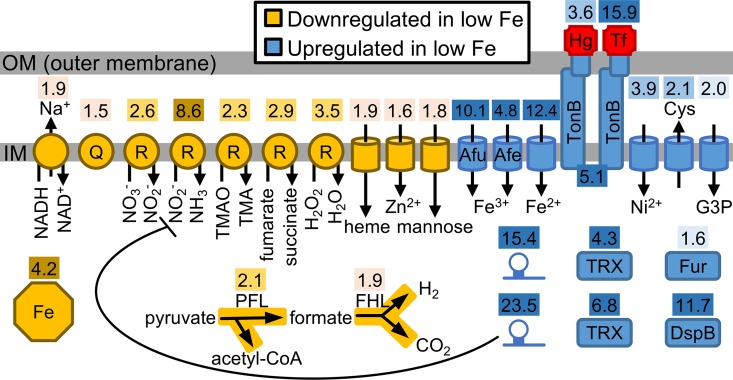 Fig 1