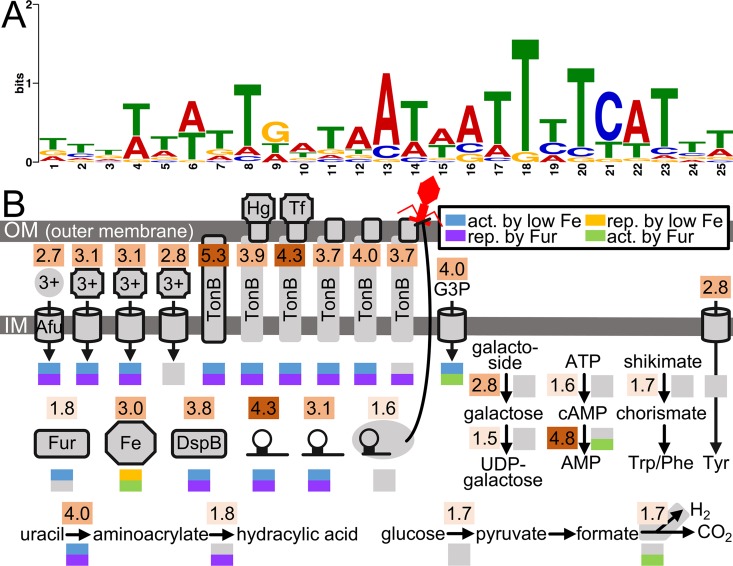 Fig 4