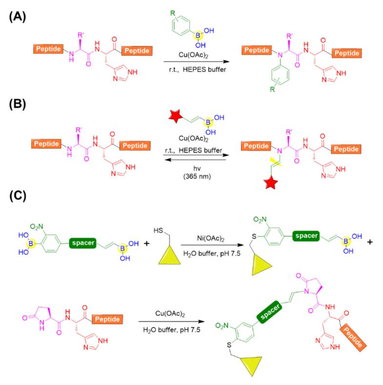 Figure 15