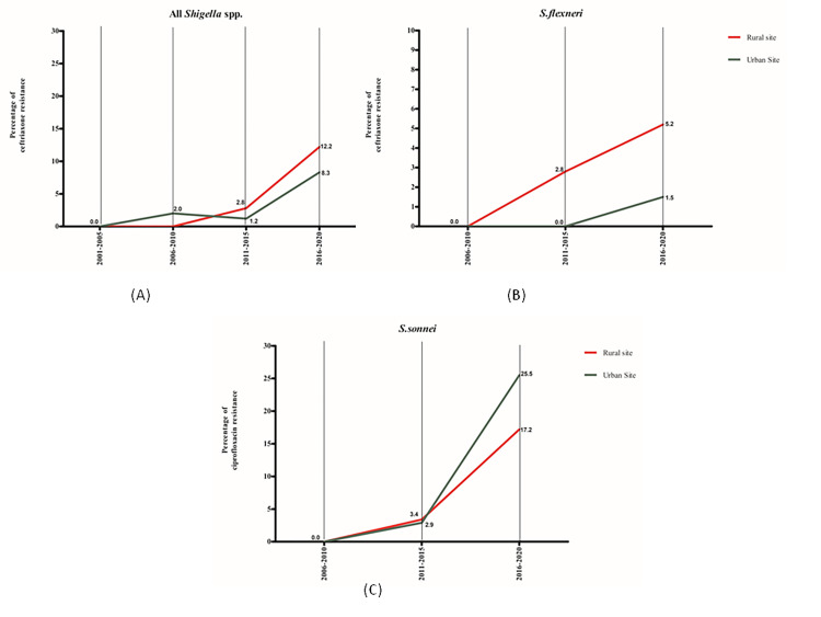 Fig 6