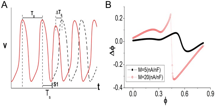 Fig 5