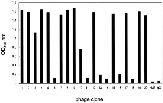 FIG. 1