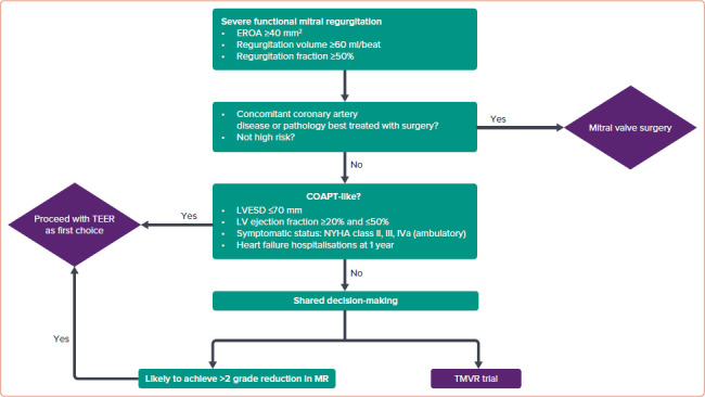 Figure 1: