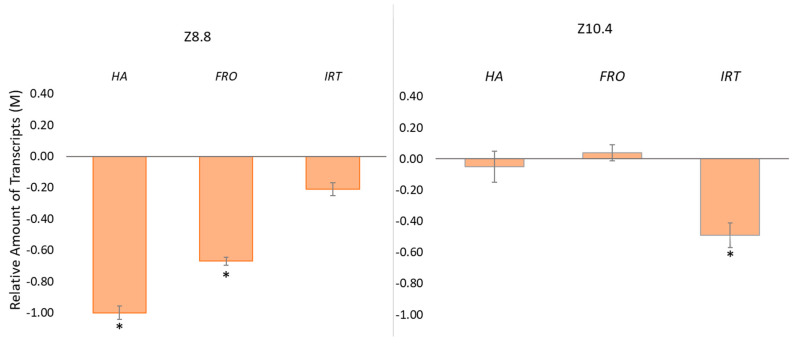 Figure 6