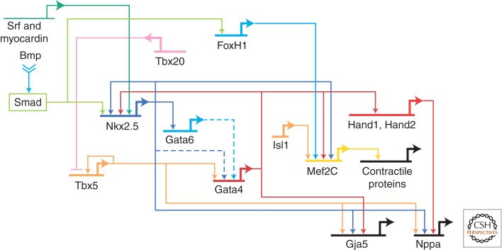 Figure 2.