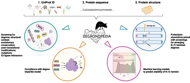 Graphical Abstract