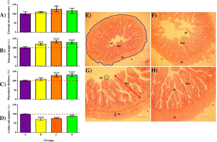 Fig 5