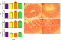 Fig 5