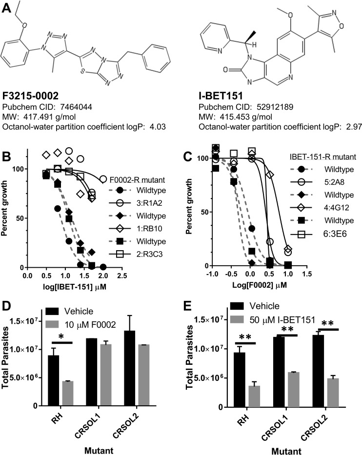 FIG 3 