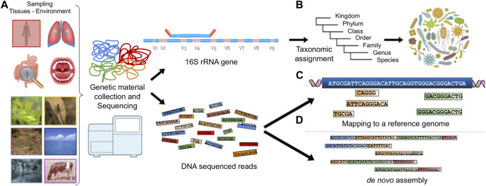 FIGURE 1