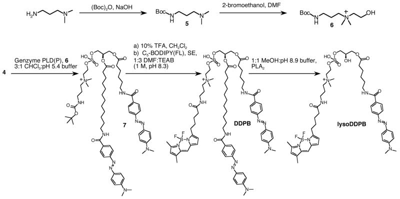 Scheme 2