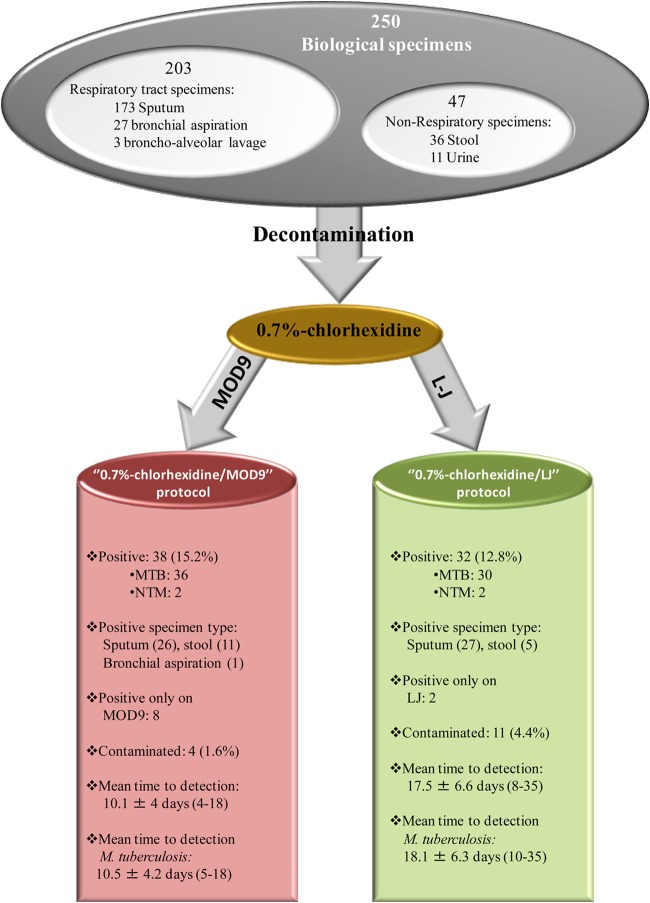 FIG 1