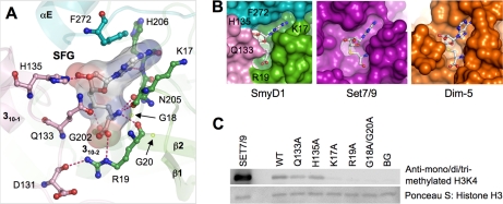 FIGURE 4.