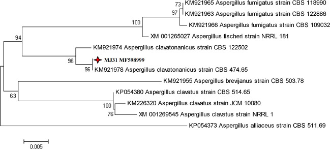 Fig 3