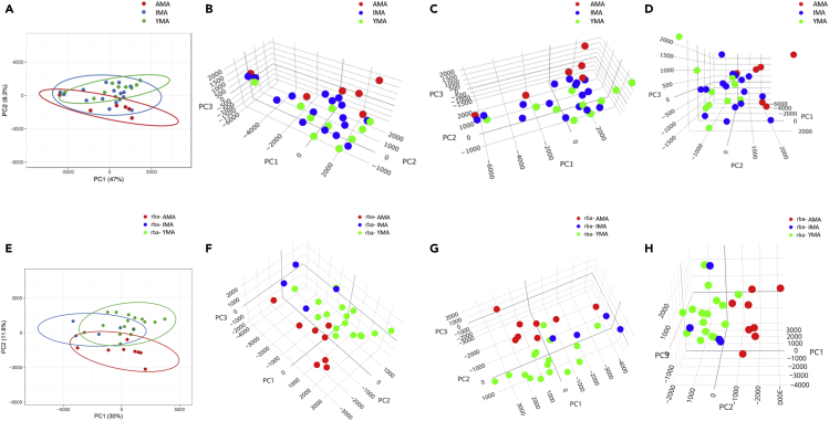 Figure 3