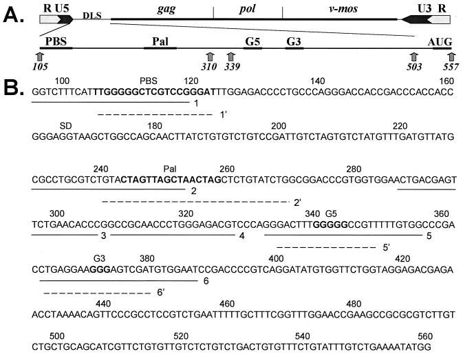 FIG. 1