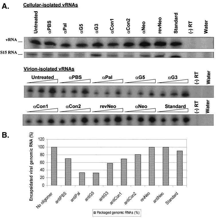 FIG. 6