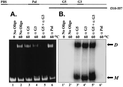 FIG. 3