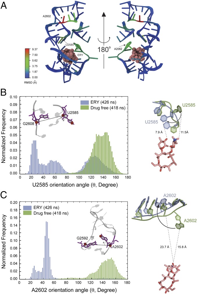 Fig. 6.