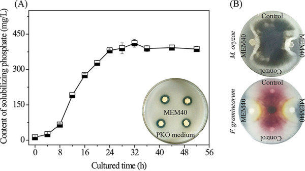 FIG 1