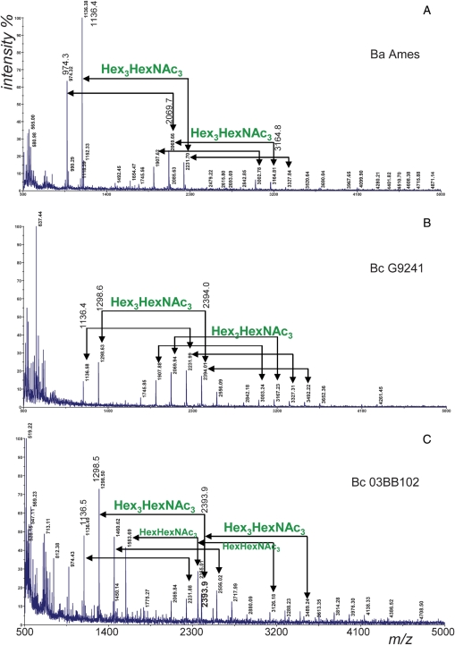 Fig. 2.