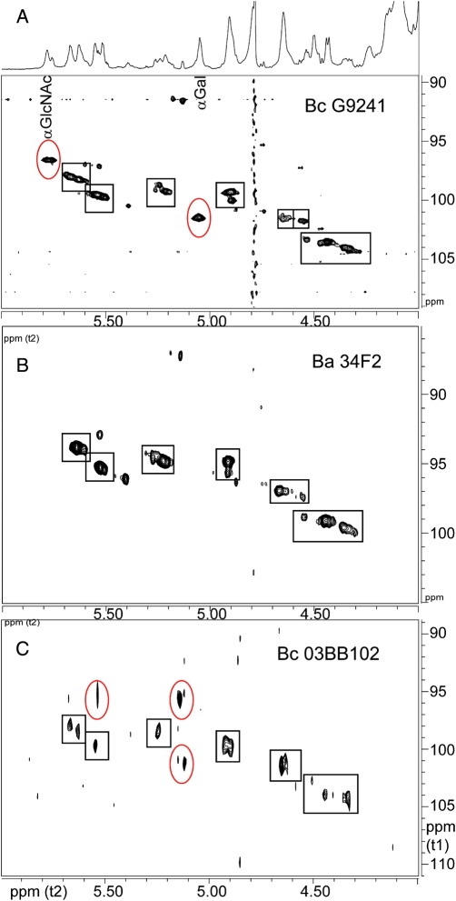 Fig. 3.