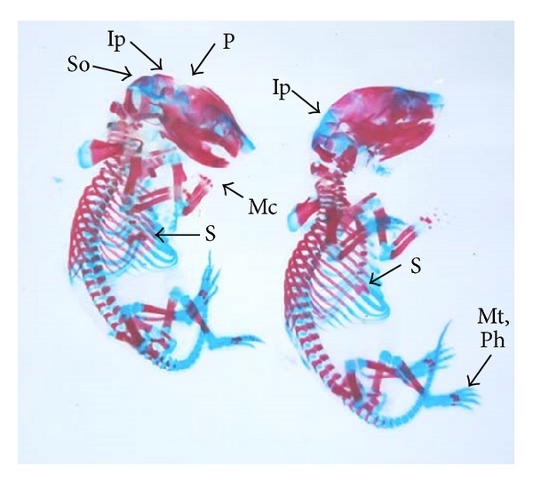 Figure 2