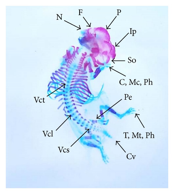 Figure 6