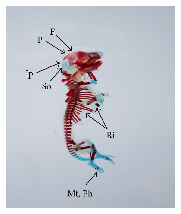 Figure 14