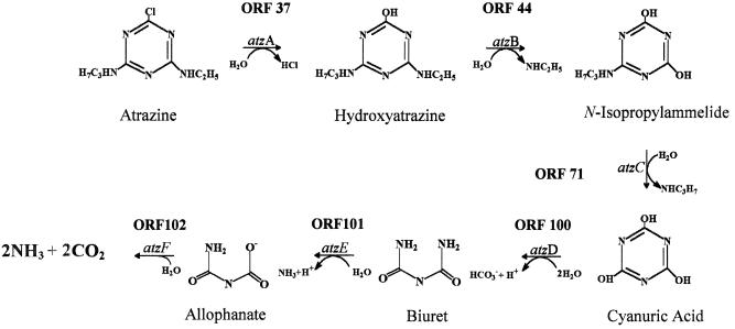 FIG. 7