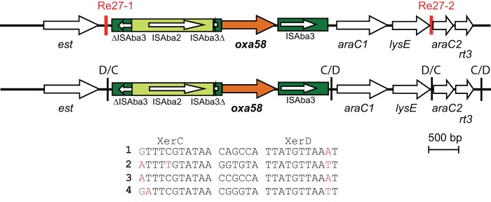 FIG 3