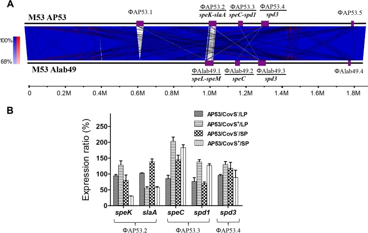 FIG 6