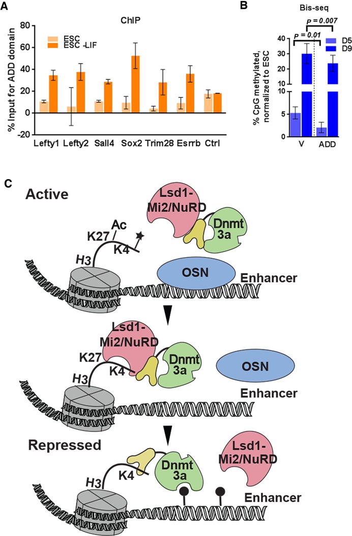 Figure 6.