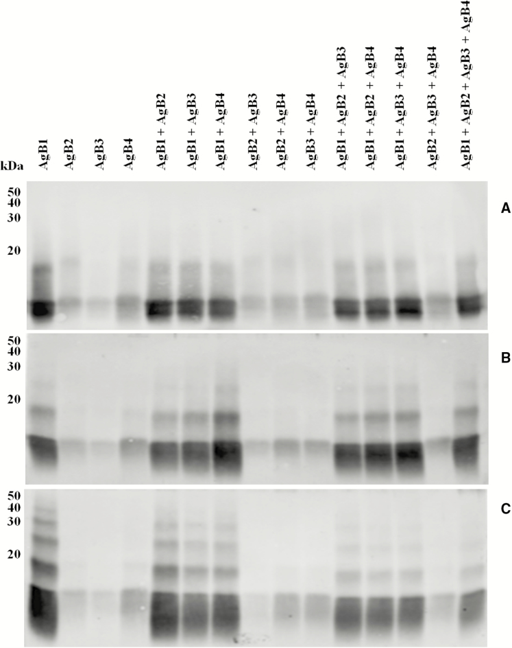 Figure 4.