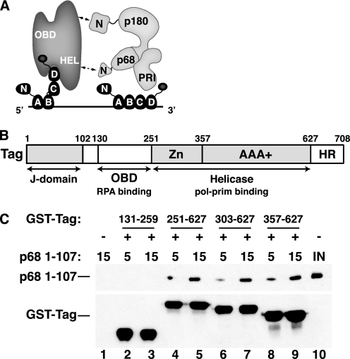 FIGURE 1.