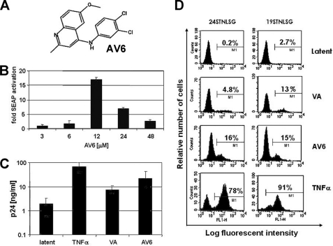 FIGURE 2.