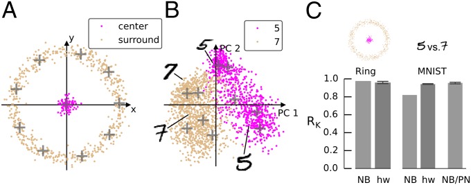 Fig. 5.