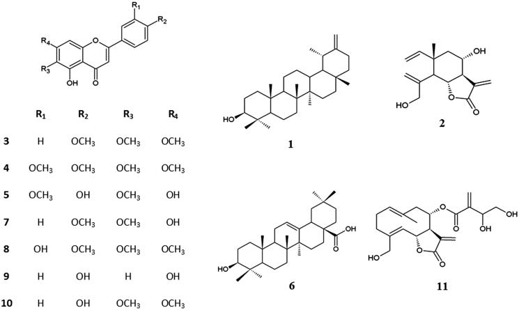 Figure 1.