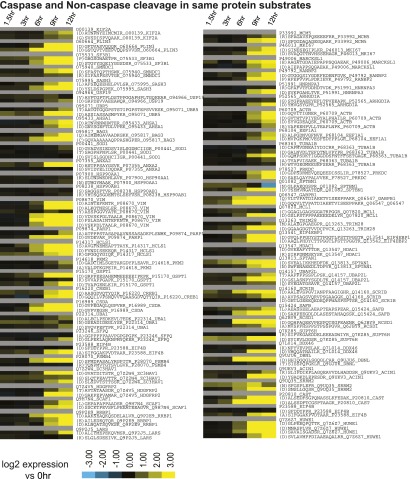 Figure 6—figure supplement 2.