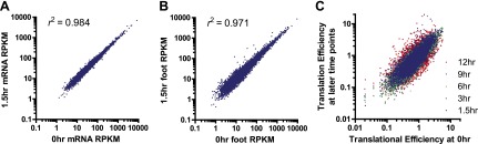 Figure 1—figure supplement 1.